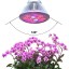 Outtled LED Grow Light 12W/24W, Highest Efficient Hydroponic LED Plant Grow Lights E27 Growing Lamp for Garden Greenhouse in Best 3 Bands Growing C...