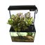 ECO-Cycle Aquaponics Indoor Garden System with LED Light Upgrade