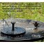 Eco friendly Solar Power Water Pump Novelty Fountain Birdbath Outdoor Garden Plant Watering Auto Operate for Home Patio Pool Fish Pond Decoration I...