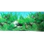 9090 20" x 48" Double Sided Fish Tank Aquarium Background Tropical/Reef