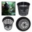 3.75" INCH NET POT FLEX MESH CUP AEROPONIC GROW BASKET HYDROPONIC CLONING EVERLASTICS +TWIN CANARIES CHART - Quantity 12