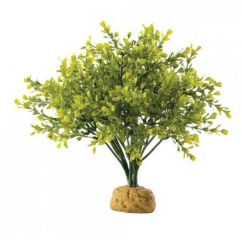 Exo Terra Boxwood Bush Terrarium Plant