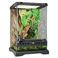 Exo Terra Glass Natural Terrarium Nano/Tall - 8 x 8 x 12 Inches