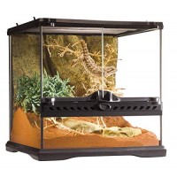 Exo Terra Glass Terrarium, 12 by 12 by 12-Inch