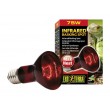 Exo Terra Heat-Glo Infrared Spot Lamp, 75-Watt/120-Volt