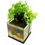 Fin to Flower Aquaponic Aquarium - Mini System A (Black)