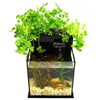 Fin to Flower Aquaponic Aquarium - Mini System A (Black)