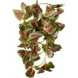 Fluker Labs SFK51017 Repta Vine Small Animal Hanging Vine, Red Coleus