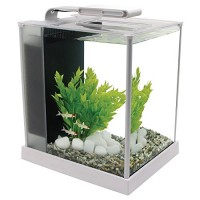 Fluval Spec III Aquarium Kit, 2.6-Gallon, White