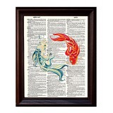 Koi Fish - Dictionary Art Print Printed On Authentic Vintage Dictionary Book Page - 8 x 10.5