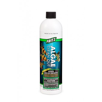 Fritz Aquatics AFA48016 Algae Clean Out for Aquarium, 16-Ounce