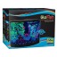 GloFish 29045 Aquarium Kit with Blue LED light, 5-Gallon