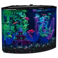 GloFish 29045 Aquarium Kit with Blue LED light, 5-Gallon
