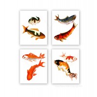 Koi Fish Decor Zen Decor Set of 4 Unframed 8x10" Prints Asian Art For The Wall