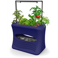 Good Ideas AQUA-OBL Aspen Aqua Grow Aquaponics Gardening System, Ocean Blue