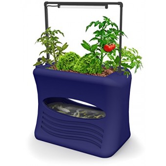 Good Ideas AQUA-OBL Aspen Aqua Grow Aquaponics Gardening System, Ocean Blue