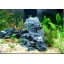 Graces Dawn 6.5 lbs Aquarium Fish Tank Seiryu Stone Random Shape Landscaping Decoration