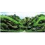 Graces Dawn 6.5 lbs Aquarium Fish Tank Seiryu Stone Random Shape Landscaping Decoration