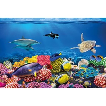 GREAT ART Undersea coral reef photo wall paper - Colourful underwater world wall decoration - Mural Aquarium Motiv XXL wallpaper (55 Inch x 39.4 In...