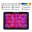 Growstar 2000W LED Grow Light, Double Chips LED Grow Lamp Full Spectrum for Hydroponic Indoor Plants Flower and Veg with UV IR Daisy Chain (12-Band...