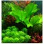 Hewnda 2 pounds to complete the planted aquarium substrate