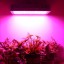 HIGROW 2000W Double Chips LED Grow Light Full Spectrum Grow Lamp with Rope Hanger and Daisy Chain for Greenhouse Hydroponic Indoor Plants Veg and F...