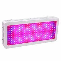 HollandStar LED Grow Light Full Spectrum 1000 Watt/1200W for Indoor Plants Veg and Flower (2000W)