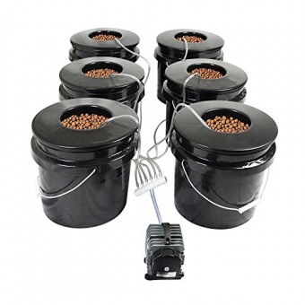 HTG Supply Bubble Brothers 6-Site DWC Hydroponic System