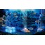 Hydor H2Show Atlantis Background & Application Gel, 31.5" x 15.75"