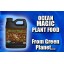 Green Planet Nutrients - Ocean Magic (4 Liters) (0.2-0.2-3) | An Organic Extract From Atlantic Sea Kelp Harvested From the Unpolluted Waters of the...
