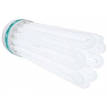 Hydrofarm Agrobrite FLB250D Compact Fluorescent Lamp, Dual, 250 Watt, 6500K