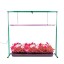 iPower 36W 4 Feet LED Grow Light Stand Rack for Seed Starting Plant Growing, the Only Isolated Driver Design for Safety Assurance