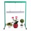iPower GLT5XX2 Head Start T5 24W 6400K Fluorescent Grow Light System with Stand Rack for Seed Plant Starting, 2-Feet, Premium-Quality UL/CSA-listed