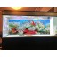 Double Sided Aquarium Coral Fish Tank Background Backdrop Reptile Marine Poster (11.81"x16.54"/30x42cm)