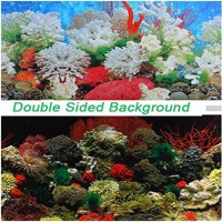 Double Sided Aquarium Coral Fish Tank Background Backdrop Reptile Marine Poster (11.81"x16.54"/30x42cm)