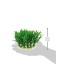 Jardin Plastic Aquarium Tank Plants Grass Decoration, 10-Piece, Green