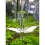 JARDLI Pollen Glass CO2 Diffuser with Bubble Counter for Aquarium Planted Tank