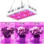 King Plus 1000w LED Grow Light Double Chips Full Spectrum with UV and IR for Greenhouse Indoor Plant Veg and Flower