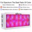 King Plus 2000W Double Chips LED Grow Light Full Spectrum for Greenhouse and Indoor Plant Flowering Growing (10w Leds)