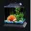 Koller Products AquaScene 1.5-Gallon Fish Tank with LED Lighting