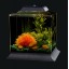 Koller Products AquaScene 1.5-Gallon Fish Tank with LED Lighting