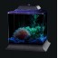 Koller Products AquaScene 1.5-Gallon Fish Tank with LED Lighting