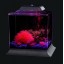 Koller Products AquaScene 1.5-Gallon Fish Tank with LED Lighting