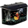 API Panaview Aquarium Kit with LED Lighting and Internal Filter, 5-Gallons