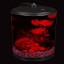 KollerCraft 2 Gallon 360 View Aquarium with Internal Filter and LED Lighting