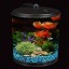 KollerCraft 2 Gallon 360 View Aquarium with Internal Filter and LED Lighting