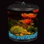 KollerCraft 2 Gallon 360 View Aquarium with Internal Filter and LED Lighting