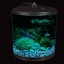 KollerCraft 2 Gallon 360 View Aquarium with Internal Filter and LED Lighting