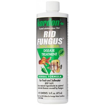 Kordon #39856 Rid Fungus- Disease Treatment for Aquarium, 16-Ounce