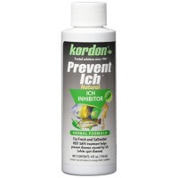 Kordon/Oasis (Novalek) AKD39544 Prevent Ich for Aquarium, 4-Ounce